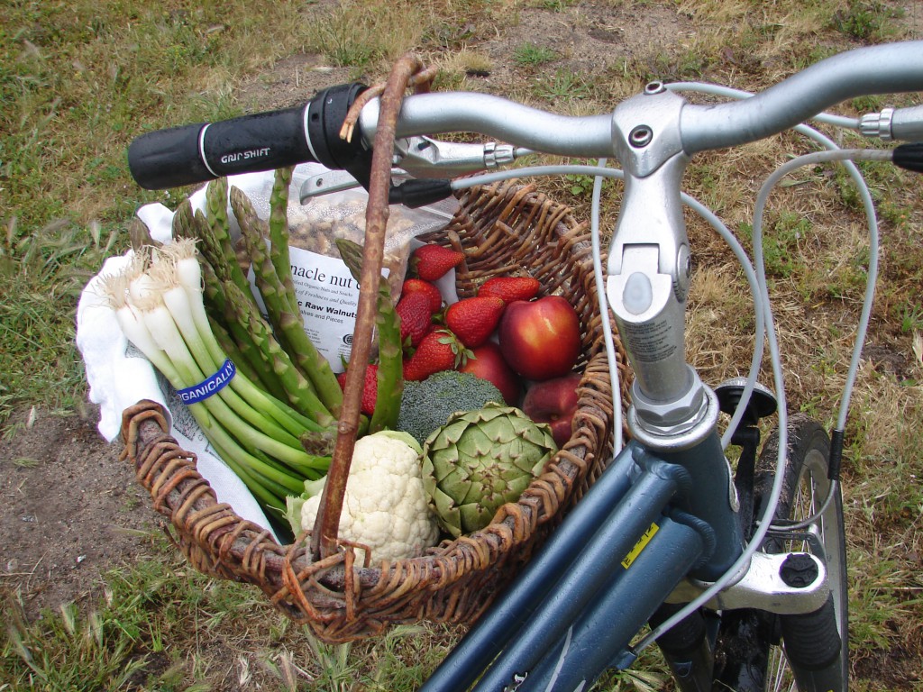 Basket of produce on my bike 004