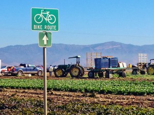 Bike route alongside Salinas Valley field