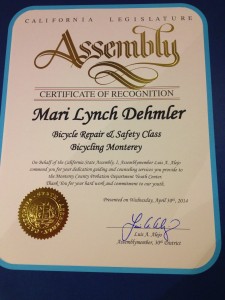 Mari Lynch April 2014 CA Assembly
